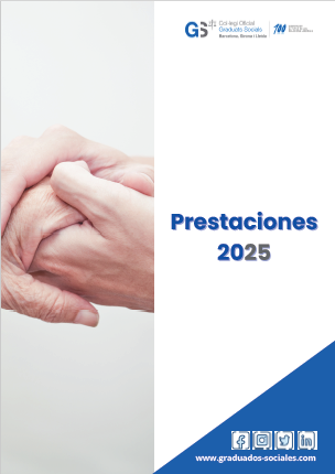 Guía de prestaciones 2025